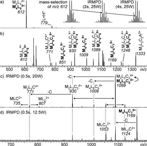 Details are in the caption following the image Details are in the caption following the image