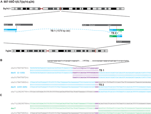 Details are in the caption following the image Details are in the caption following the image
