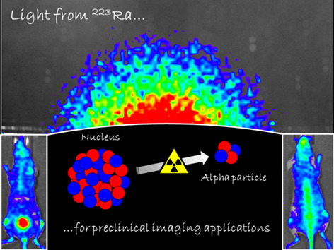 Optical emission of 223Radium: in vitro and in vivo preclinical applications