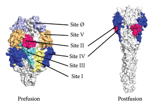Details are in the caption following the image Details are in the caption following the image
