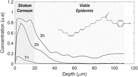 Raman mapping coupled to self-modelling MCR-ALS analysis to estimate active cosmetic ingredient penetration profile in skin