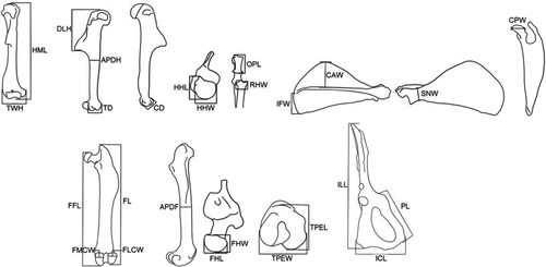 Details are in the caption following the image Details are in the caption following the image