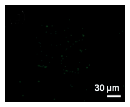 Details are in the caption following the image