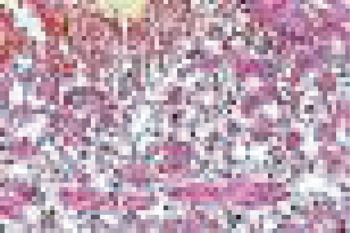 Details are in the caption following the image