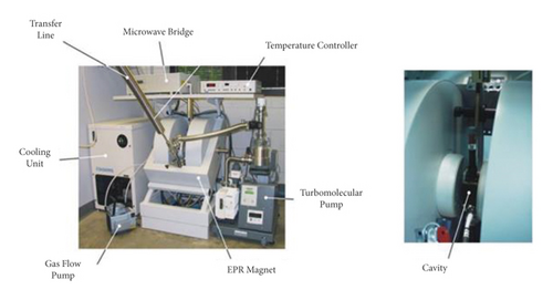 Details are in the caption following the image Details are in the caption following the image