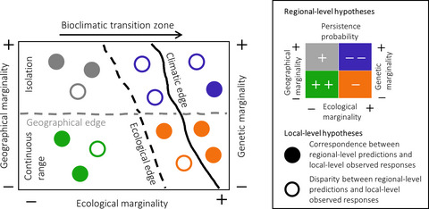 Refining predictions of population decline at species' rear edges