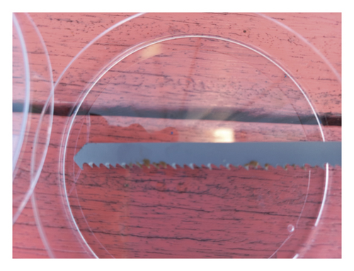 Details are in the caption following the image Details are in the caption following the image