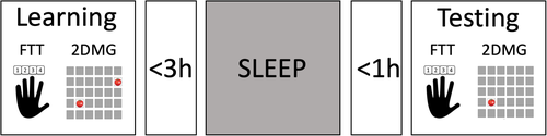 Details are in the caption following the image Details are in the caption following the image
