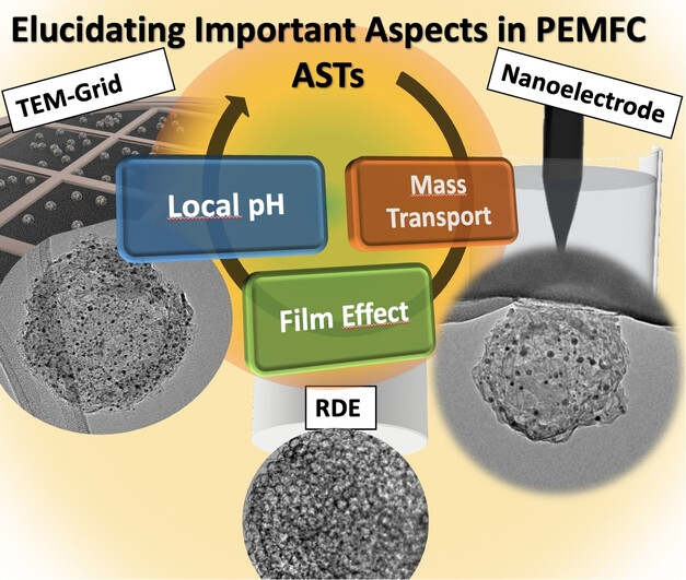 Stability Investigations on a Pt@HGS Catalyst as a Model Material for Fuel Cell Applications: The Role of the Local pH
