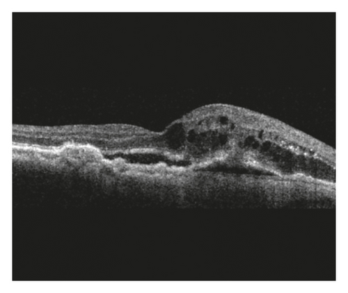 Details are in the caption following the image Details are in the caption following the image