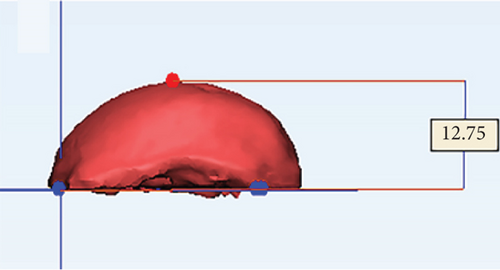Details are in the caption following the image Details are in the caption following the image