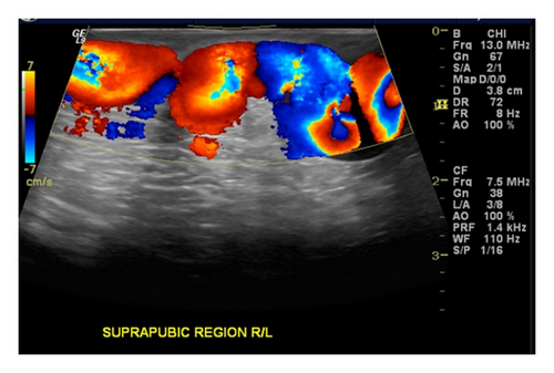 Details are in the caption following the image Details are in the caption following the image
