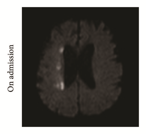 Details are in the caption following the image Details are in the caption following the image