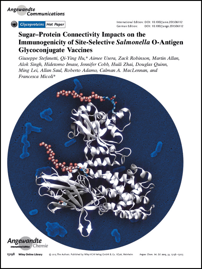 Frontispiece: Sugar–Protein Connectivity Impacts on the Immunogenicity of Site-Selective Salmonella O-Antigen Glycoconjugate Vaccines