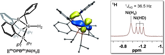 A d10 Ni–(H2) Adduct as an Intermediate in H<span class='icomoon'></span>H Oxidative Addition across a Ni<span class='icomoon'></span>B Bond