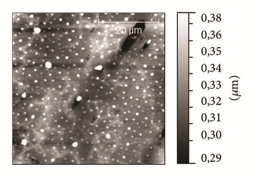 Details are in the caption following the image