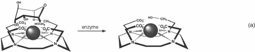 A “Smart” Magnetic Resonance Imaging Agent That Reports on Specific Enzymatic Activity
