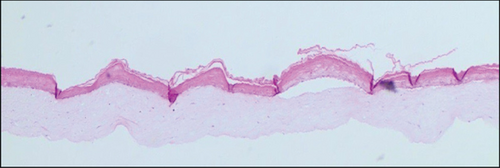 Details are in the caption following the image