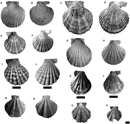 Details are in the caption following the image