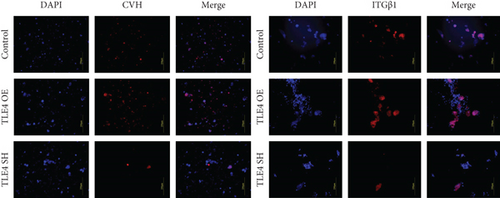 Details are in the caption following the image Details are in the caption following the image