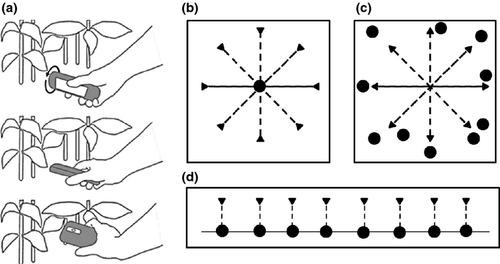 Details are in the caption following the image