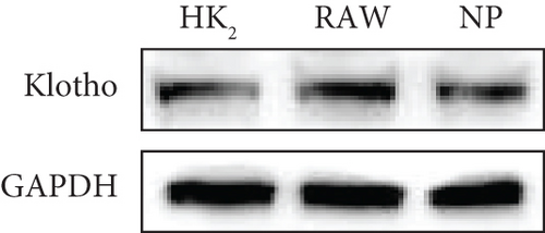 Details are in the caption following the image