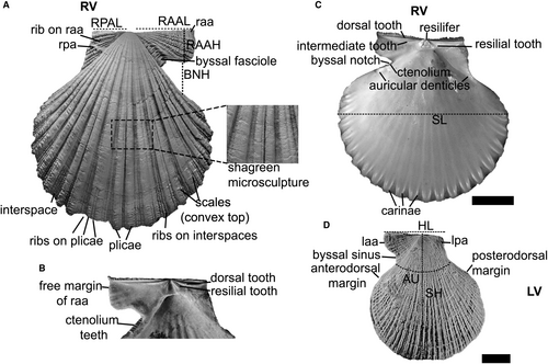 Details are in the caption following the image
