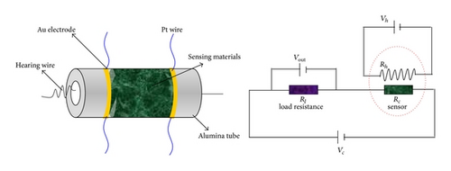 Details are in the caption following the image Details are in the caption following the image