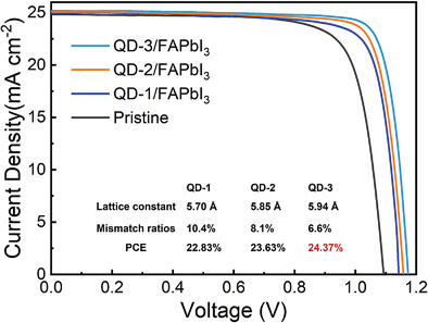 Synergy of Front-Surface Energy-Level Gradient and Lattice Anchoring Effect for Enhancing Perovskite Solar Cell Performance