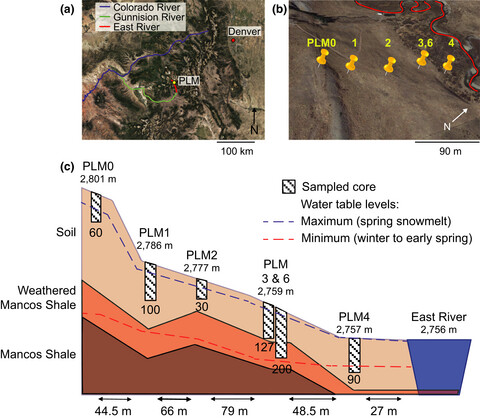 Microbial communities across a hillslope-riparian transect shaped by proximity to the stream, groundwater table, and weathered bedrock