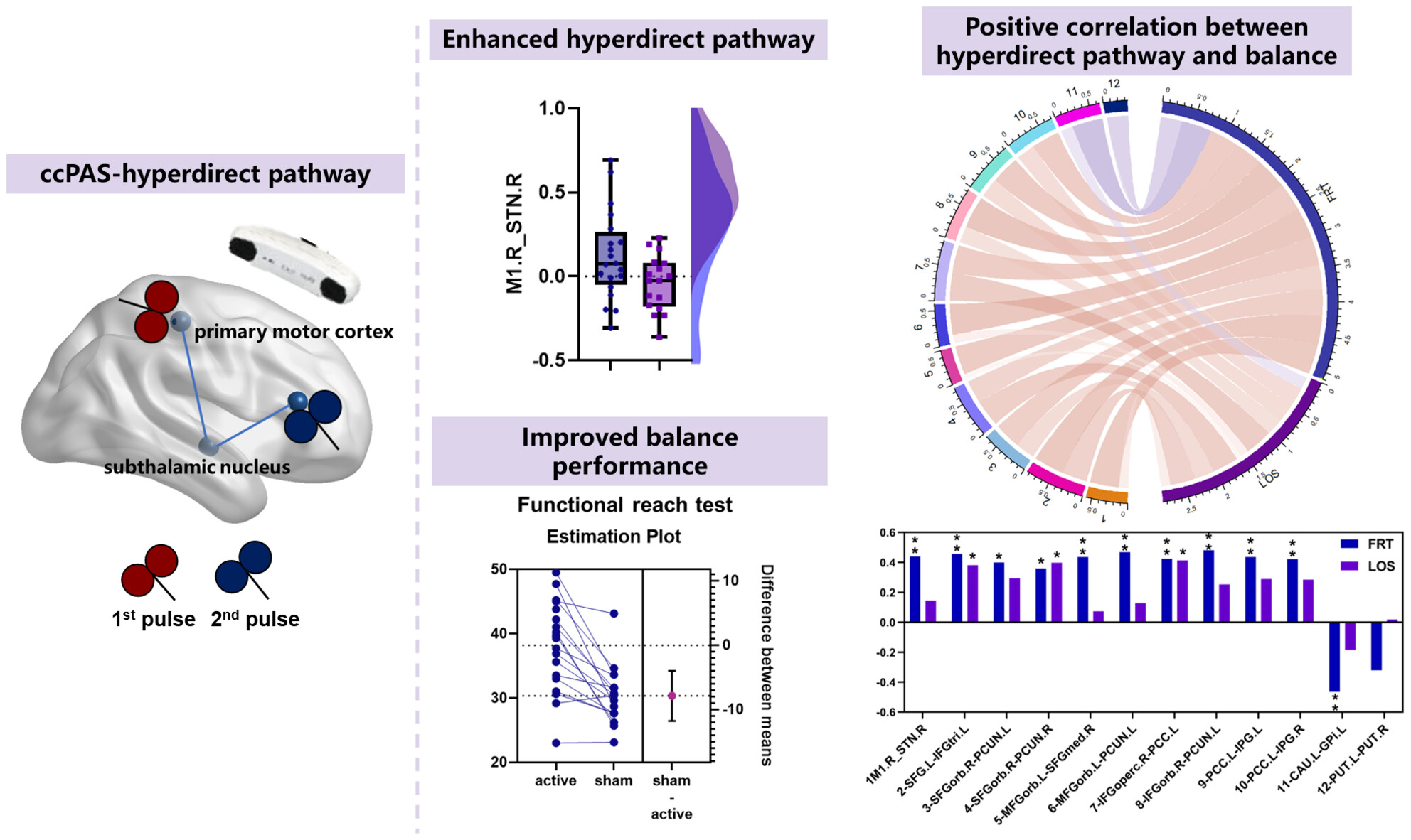 The promotion-like effect of the M1-STN hyperdirect pathway induced by ccPAS enhanced balance performances: From the perspective of brain connectivity