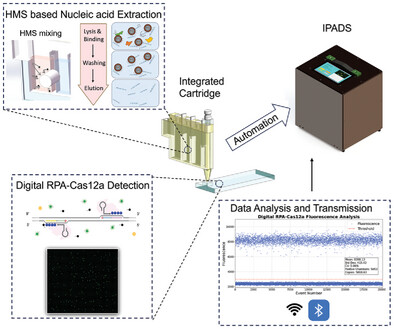 An Integrated, Portable, and Automatic Digital Detection System for Hepatitis B Virus Using Hybrid Magnetic System