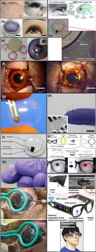 Details are in the caption following the image Details are in the caption following the image