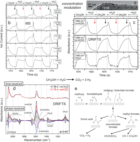Details are in the caption following the image Details are in the caption following the image