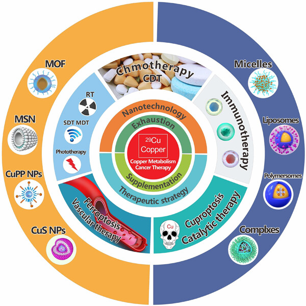 Nanotechnology connecting copper metabolism and tumor therapy Issue 2, 2023