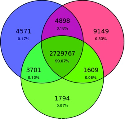 From Wet-Lab to Variations: Concordance and Speed of Bioinformatics Pipelines for Whole Genome and Whole Exome Sequencing