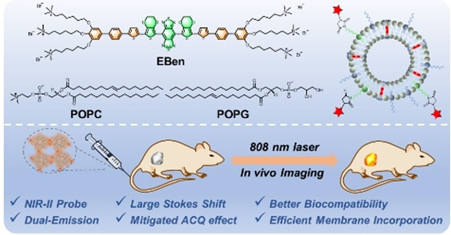 NIR-II Conjugated Electrolytes as Biomimetics of Lipid Bilayers for In Vivo Liposome Tracking