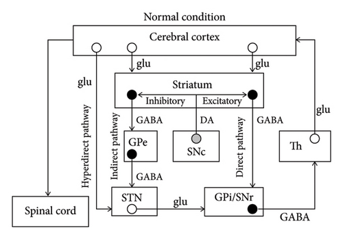 Details are in the caption following the image Details are in the caption following the image