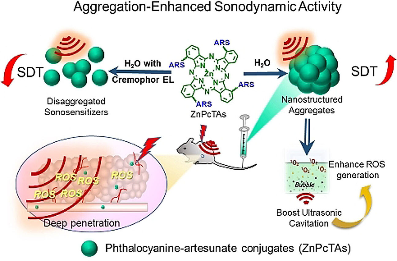 Aggregation-Enhanced Sonodynamic Activity of Phthalocyanine–Artesunate Conjugates