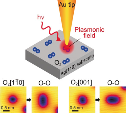 Single-Molecule Study of a Plasmon-Induced Reaction for a Strongly Chemisorbed Molecule