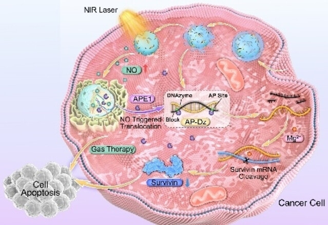 Near-Infrared Light-Triggered Cascade Nanosystems for Spatiotemporally Controlled Gene-Silencing and Gas Synergistic Cancer Therapy