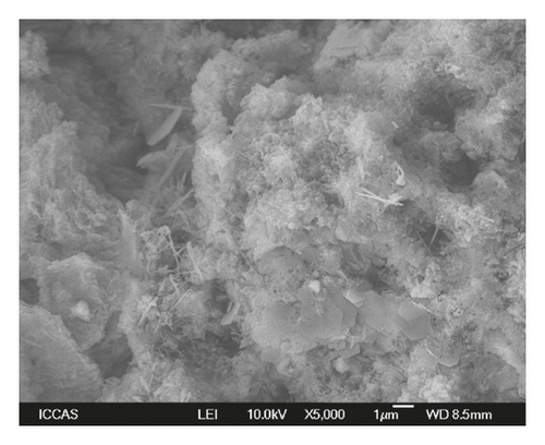 Details are in the caption following the image