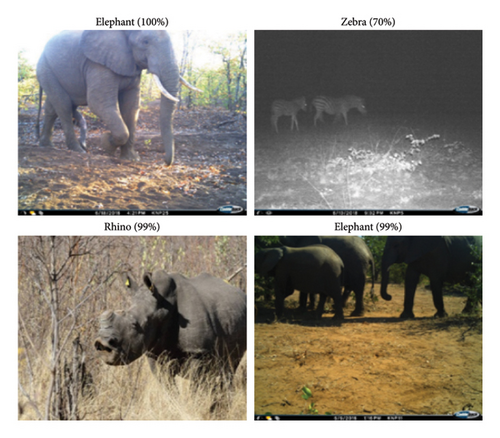 Details are in the caption following the image Details are in the caption following the image
