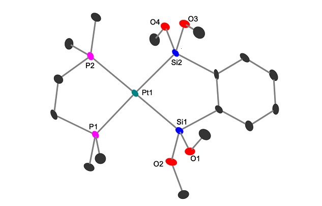 Synthesis, Structural Characterization and Reactivity of a Bis(phosphine)(silyl) Platinum(II) Complex