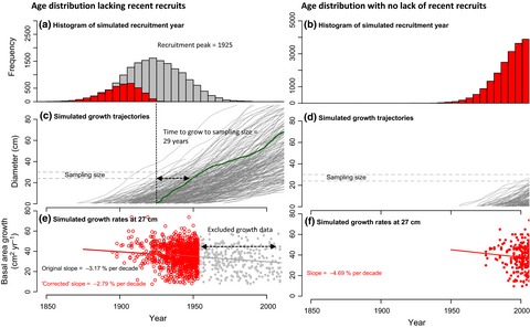 A response to ‘Trends in tropical tree growth: reanalysis confirms earlier findings’