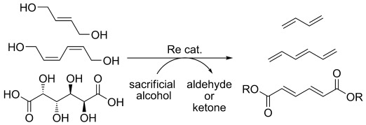 Expanding the Scope of Biomass-Derived Chemicals through Tandem Reactions Based on Oxorhenium-Catalyzed Deoxydehydration