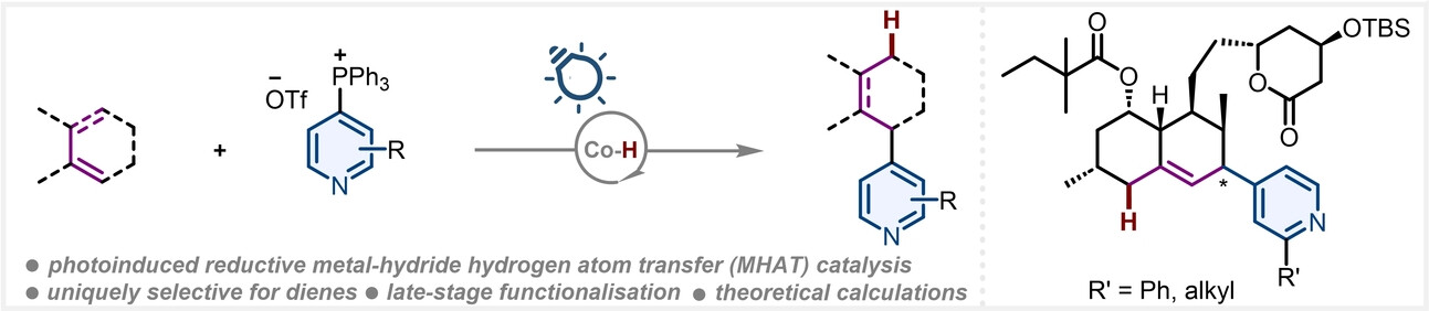 Photoinduced Cobalt Catalysis for the Reductive Coupling of Pyridines and Dienes Enabled by Paired Single-Electron Transfer**