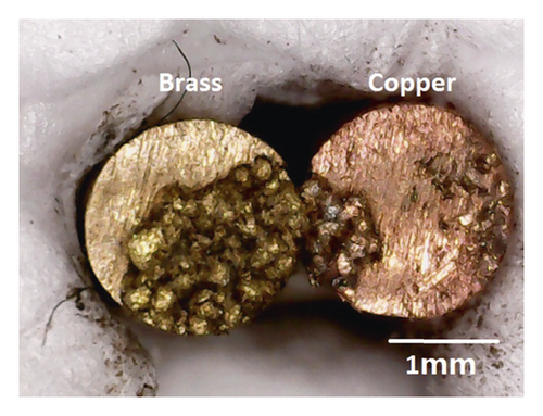 Details are in the caption following the image
