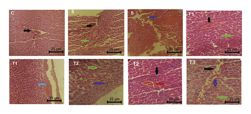 Details are in the caption following the image
