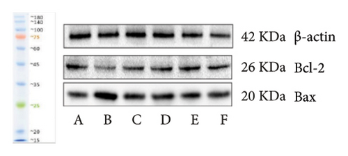 Details are in the caption following the image